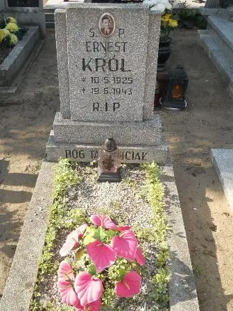 Zdjęcie grobu 20/100