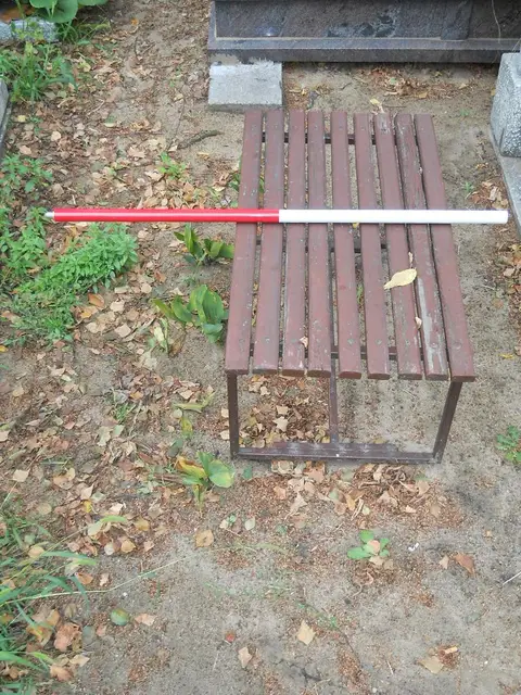 Zdjęcie grobu 16/26023