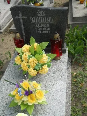 Zdjęcie grobu 26/344
