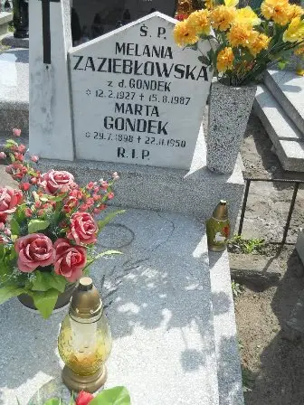 Zdjęcie grobu 25/249
