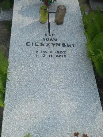 Zdjęcie grobu 44/46
