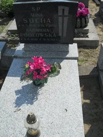 Zdjęcie grobu 42/100