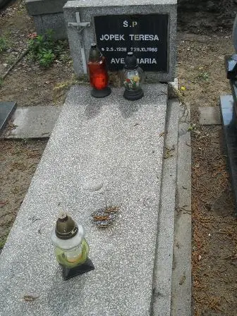 Zdjęcie grobu 32/19
