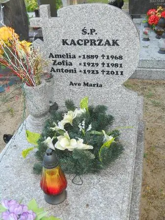 Zdjęcie grobu 37/100