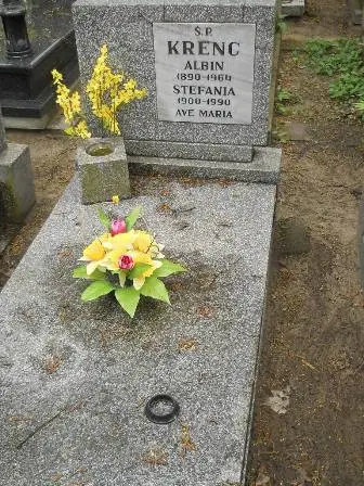 Zdjęcie grobu 32/113