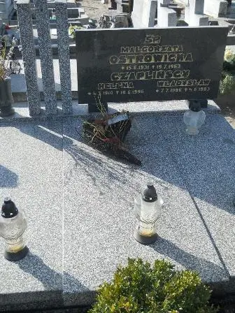 Zdjęcie grobu Główny/5,7