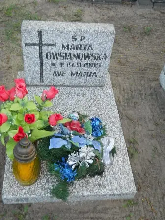 Zdjęcie grobu 7c/17