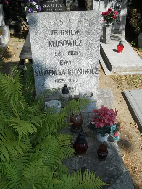 Zdjęcie grobu 18/28225