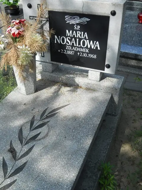 Zdjęcie grobu 7/11318
