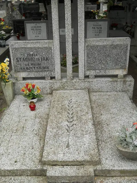 Zdjęcie grobu 12/29446