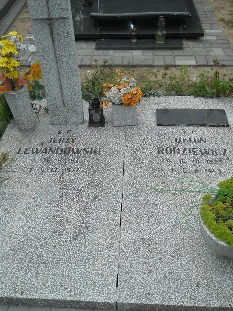 Zdjęcie grobu 9/24555