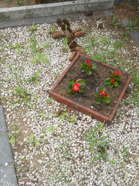 Zdjęcie grobu 7/10922