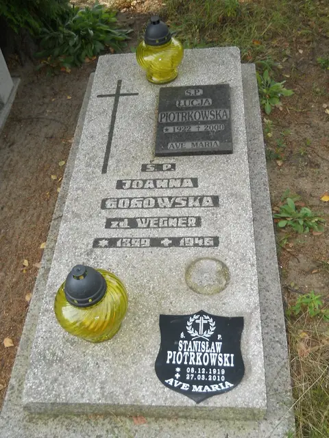 Zdjęcie grobu 11/29113