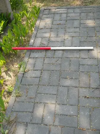 Zdjęcie grobu 30/100