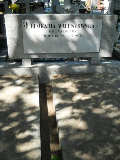Zdjęcie grobu 8A/10350