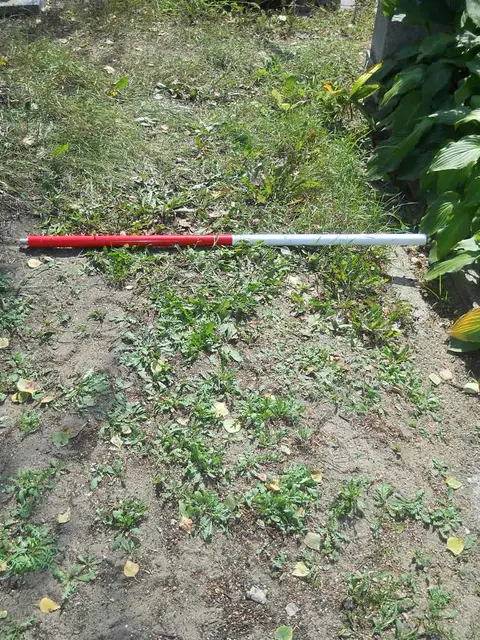 Zdjęcie grobu 14/27469
