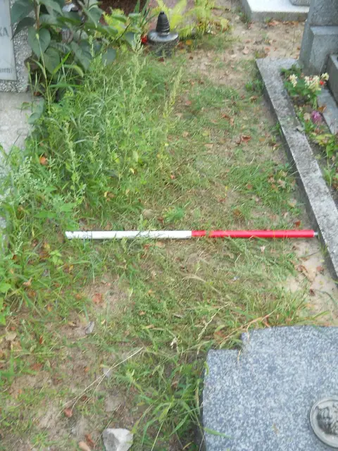 Zdjęcie grobu 14/26877
