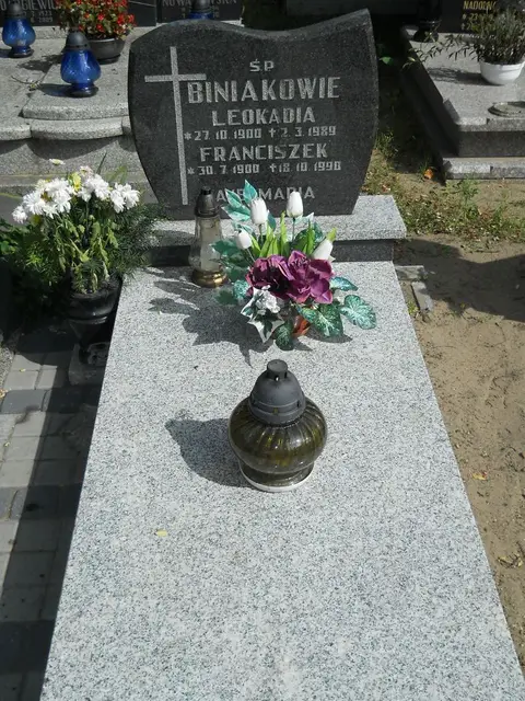 Zdjęcie grobu 6/24443