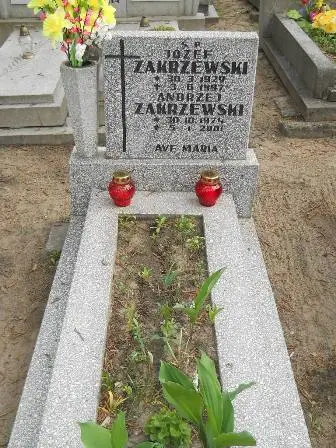 Zdjęcie grobu 33/311