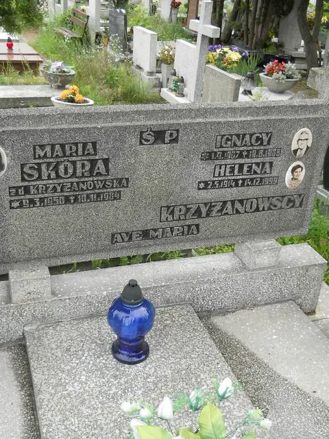 Zdjęcie grobu 24/23649