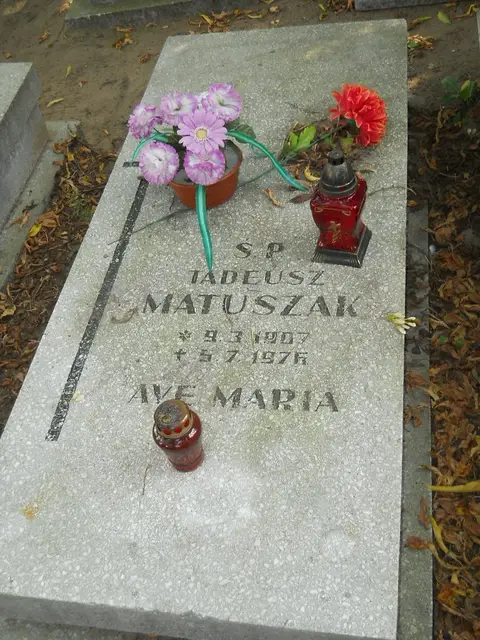 Zdjęcie grobu 19/28574