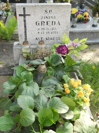 Zdjęcie grobu 26/260