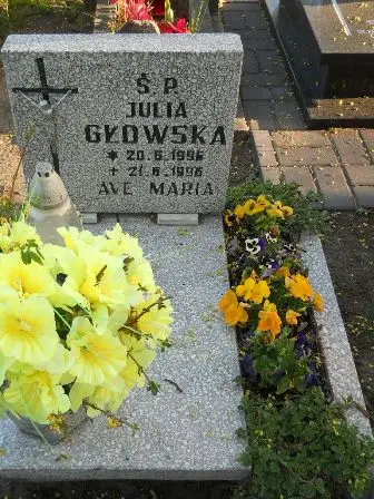 Zdjęcie grobu 7b/60