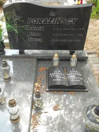 Zdjęcie grobu 40/100