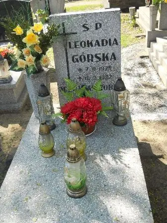 Zdjęcie grobu 11/86