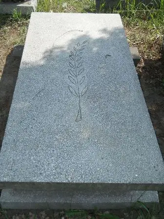 Zdjęcie grobu 25/100