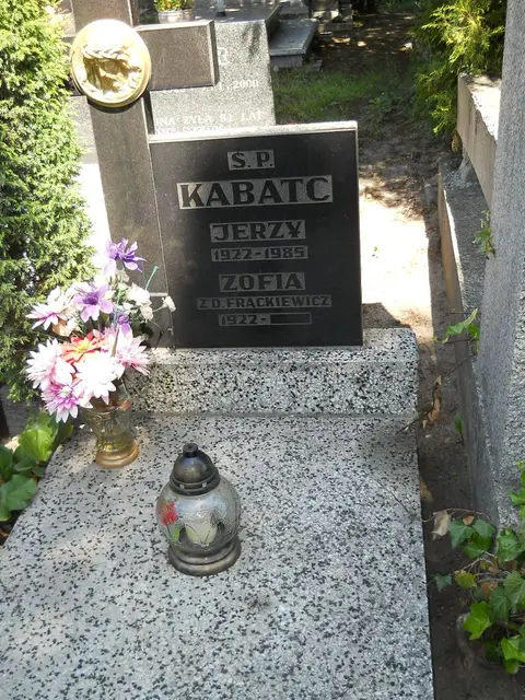 Zdjęcie grobu 8A/10169