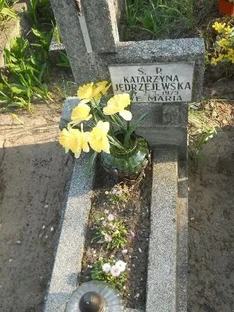 Zdjęcie grobu 7B/368