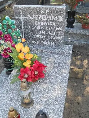 Zdjęcie grobu 46/230