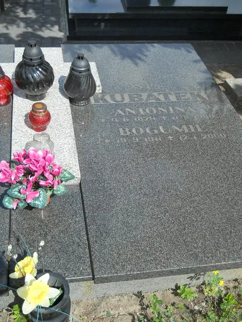 Zdjęcie grobu 7/11720