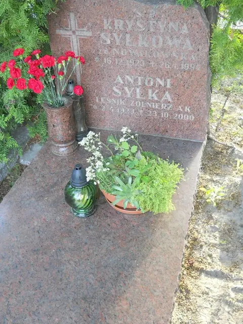 Zdjęcie grobu 8A/10733