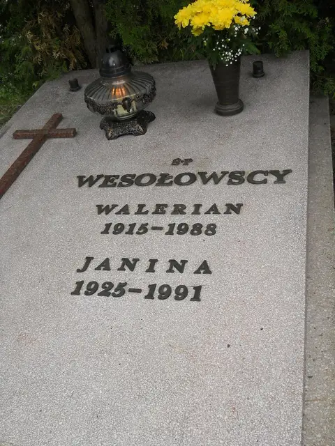 Zdjęcie grobu 7/11172