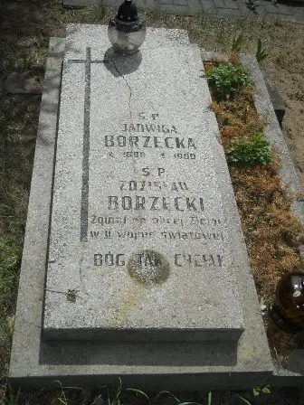 Zdjęcie grobu 41/71