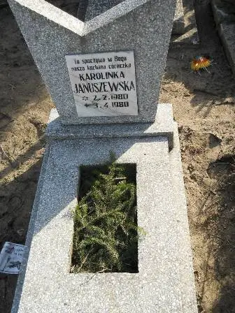 Zdjęcie grobu 100/100