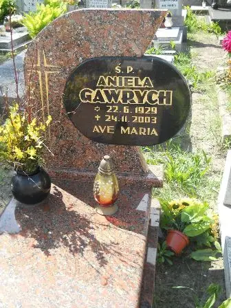 Zdjęcie grobu 20/352