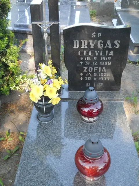 Zdjęcie grobu 7/12031