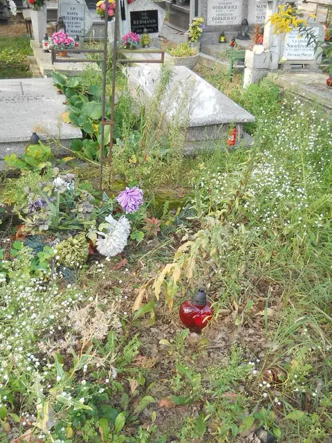 Zdjęcie grobu 14/27079