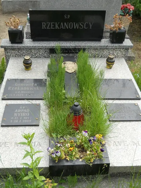 Zdjęcie grobu 7/11709