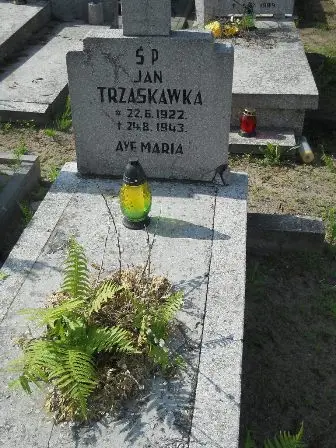 Zdjęcie grobu 20/143