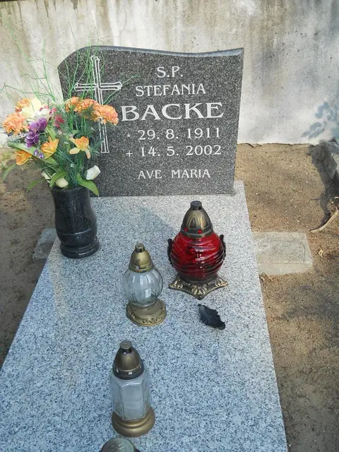 Zdjęcie grobu 18/28710
