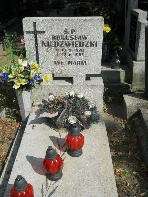 Zdjęcie grobu 19/28526