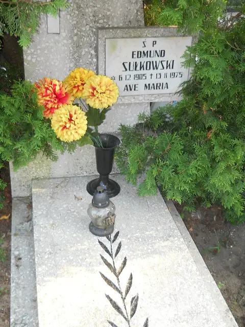 Zdjęcie grobu 15/26781