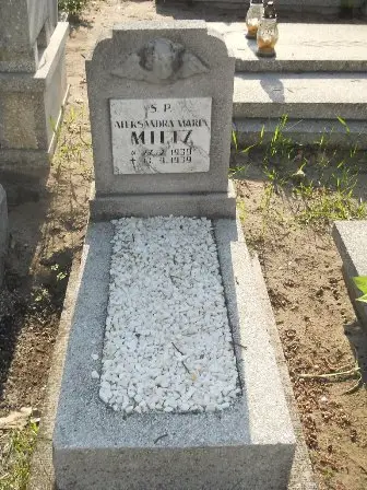 Zdjęcie grobu 7/100