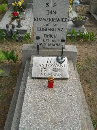 Zdjęcie grobu 33/313