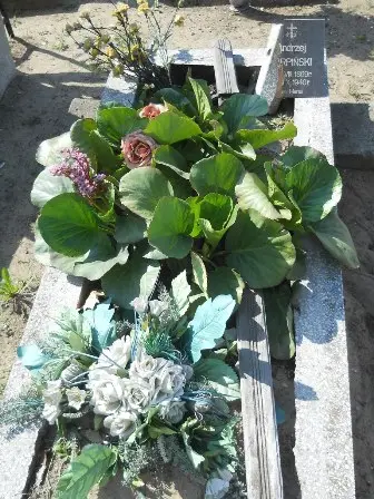 Zdjęcie grobu 14/100