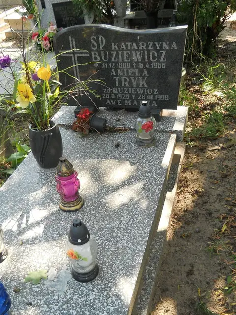 Zdjęcie grobu 18/28394
